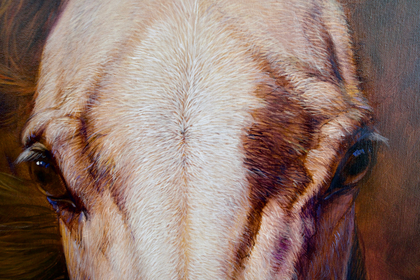 Horse | 100 x 130 cm