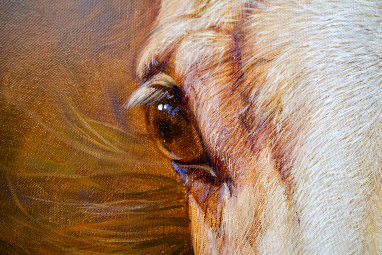 Horse | 100 x 130 cm