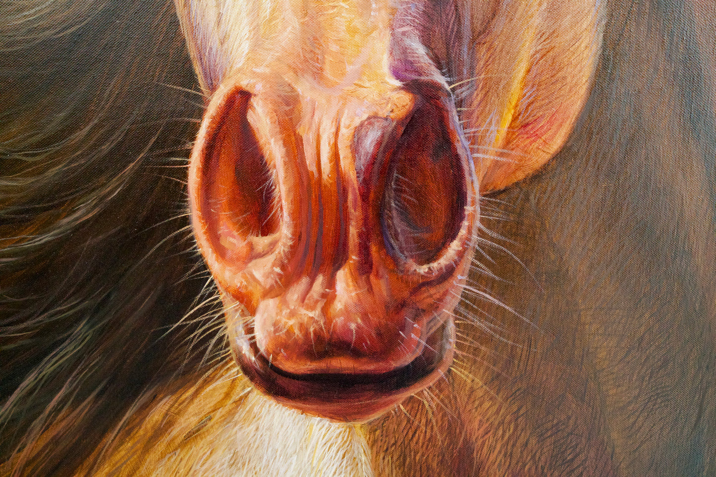 Horse | 100 x 130 cm