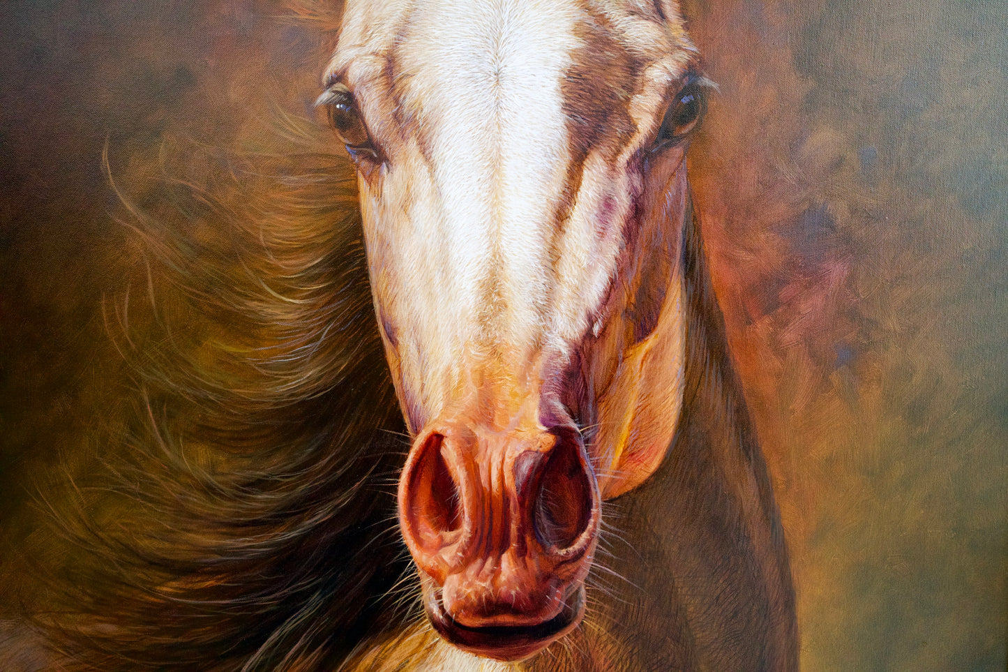 Horse | 100 x 130 cm