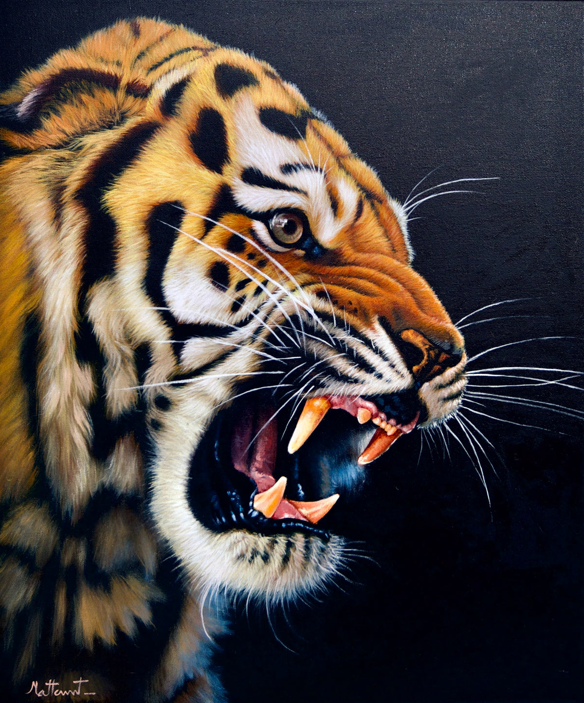 พลังแห่งเสือ | 50 x 60 ซม. 